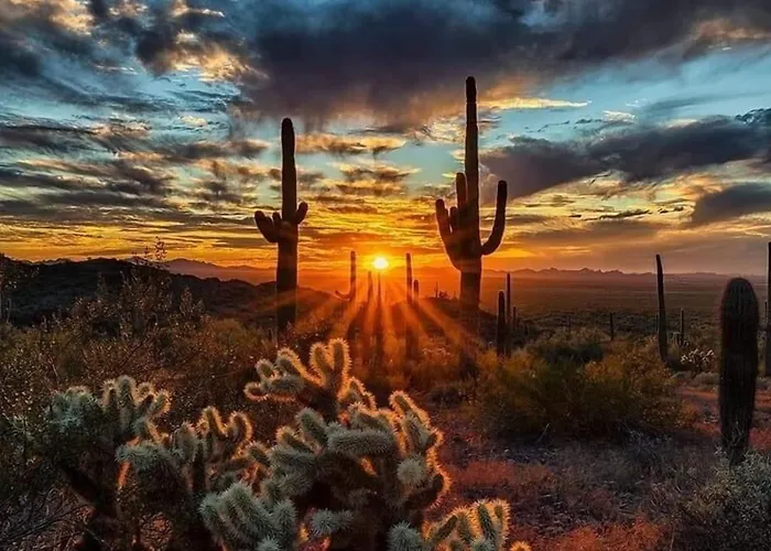 104th * Mesa